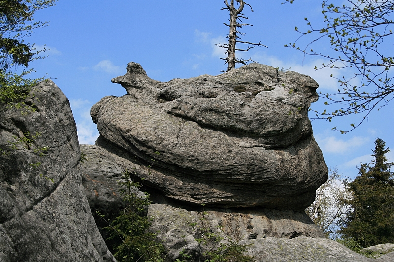 Original image